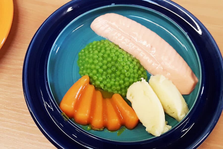A plate of pureed food formed with pureed food moulds with a salmon fillet, green peas, mashed potatoes, and carrot slices.