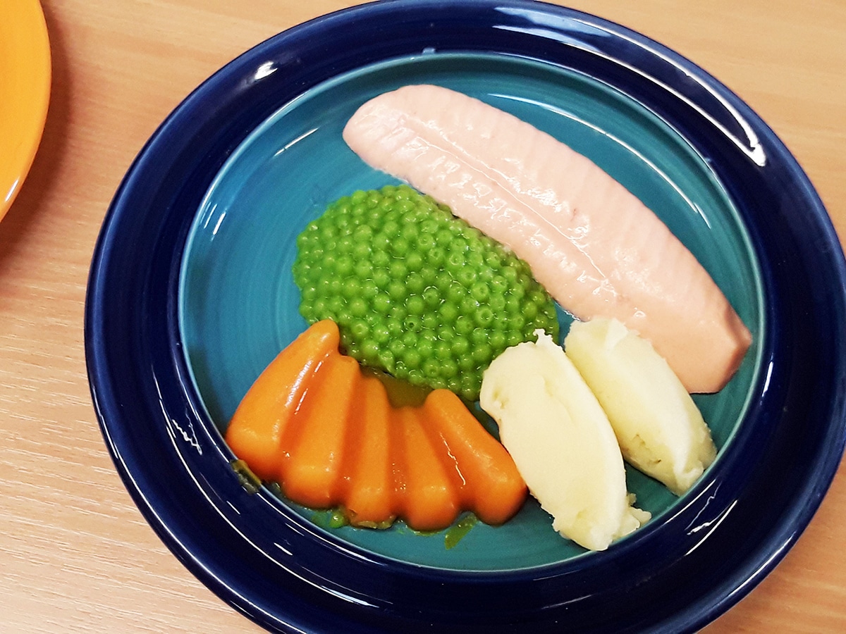 A plate of pureed food formed with pureed food moulds with a salmon fillet, green peas, mashed potatoes, and carrot slices.